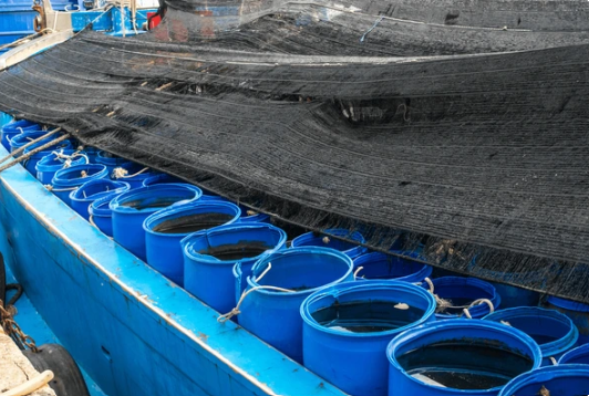 Fiberglass Manufacturing Plant