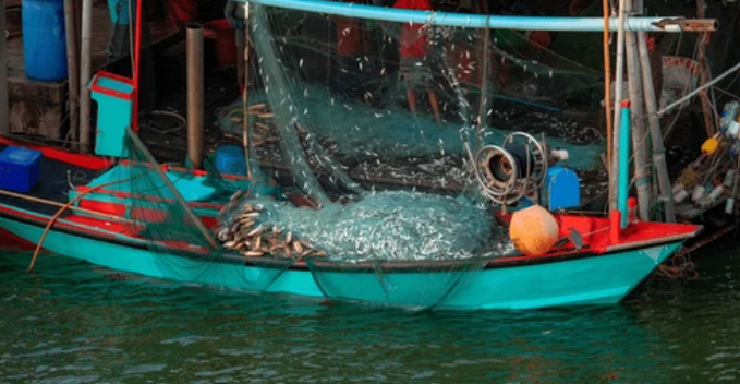 Integrated Industrial Complex for Manufacturing Fishing Equipment in Al-duqm
